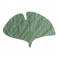 朴葉