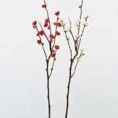 造花 梅