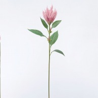 造花 アマランサス