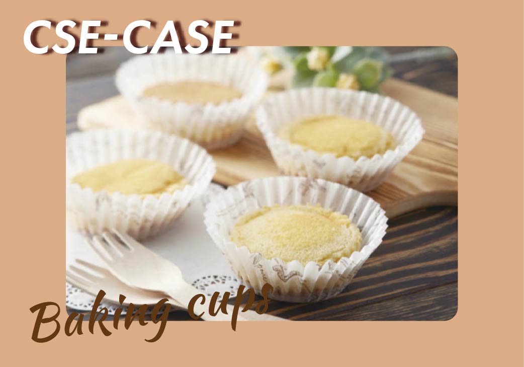 CSEケース