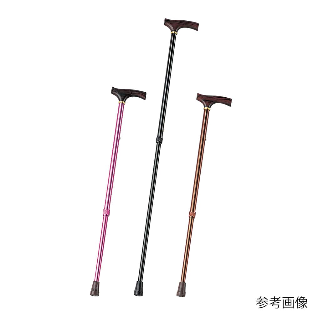 アズワン カラーステッキ(伸縮式)ブラック AS-225-BK-21DGN 1本(ご注文単位1本)【直送品】