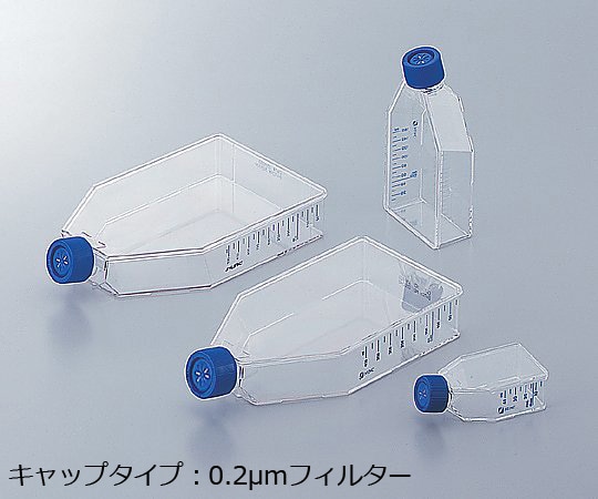 Nalge Nunc (サーモフィッシャーサイエンティフィック) イージーフラスコ 75cm2(0.2μmフィルターキャップ)1箱(5個×20包入) 156499 1箱(ご注文単位1箱)【直送品】