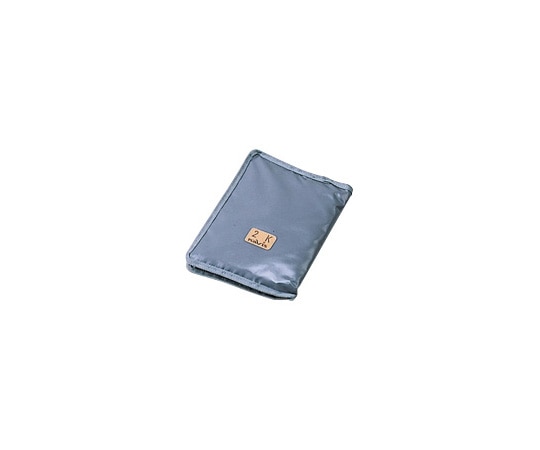 アズワン 砂袋 病室用2kg 240×380グレー 2kg(病室用) 1個(ご注文単位1個)【直送品】