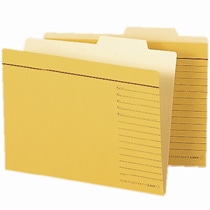 ライオン事務器　個別フォルダー　A5判　A5-IF-R　1セット（10冊）（ご注文単位1セット）【直送品】