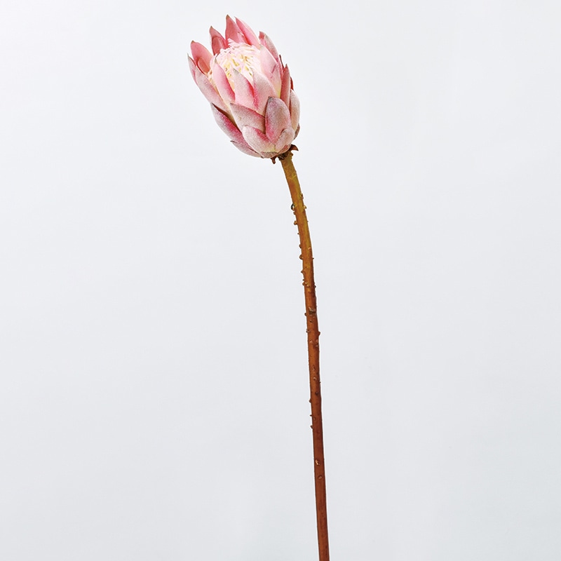 アスカ商会 造花 A-33884 プロテア #003 ピンク 1本(ご注文単位1本)【直送品】
