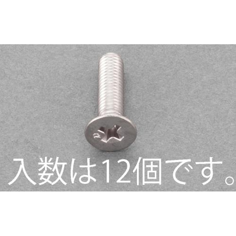 エスコ EA949AE-267 M6x40mm皿頭小ねじ(ステンレス/有磁性/12本) 1個（ご注文単位1個）【直送品】