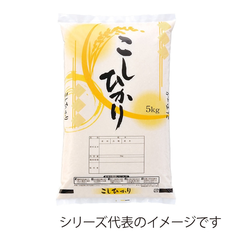 マルタカ 米袋　ポリ こしひかりきざし　10kg EP0011 500枚/箱（ご注文単位1箱）【直送品】