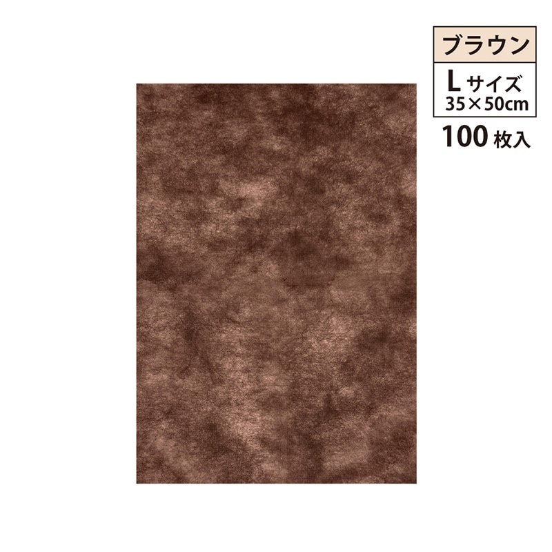 エスパック 不織布インナーバッグ 薄タイプ L ダークブラウン 100枚/袋（ご注文単位1袋)【直送品】