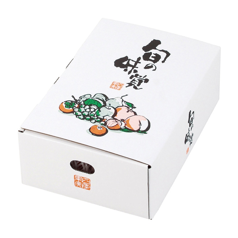ギフト箱　四季果実 小 L-2274 10枚/束（ご注文単位5束）【直送品】