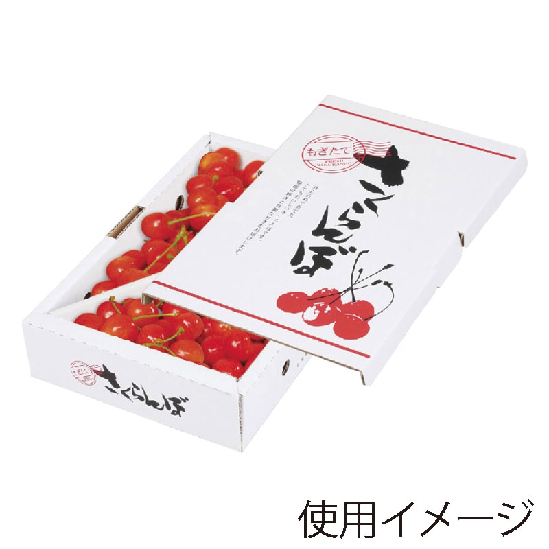 ギフト箱　さくらんぼバラ詰 1kg L-8104 25枚/束（ご注文単位4束）【直送品】