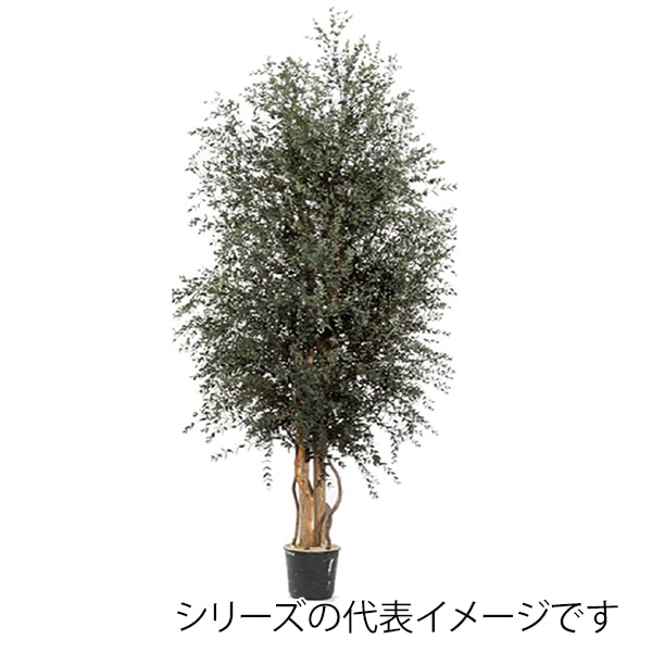 モノ・インターナショナル verdissimo プリザーブドフラワー wpa0113 ワイドパルビフォリアツリー 1.3m 1個(ご注文単位1個)【直送品】