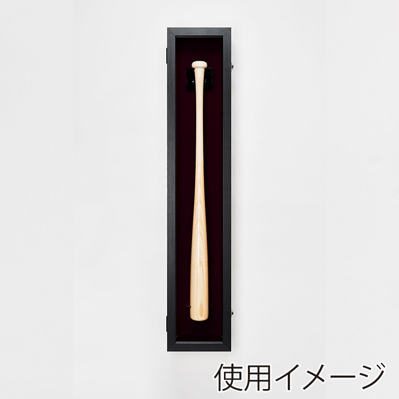 アルナ バットケース 前開き式 UVアクリル ビターフレーム/黒別珍 1個(ご注文単位1個)【直送品】