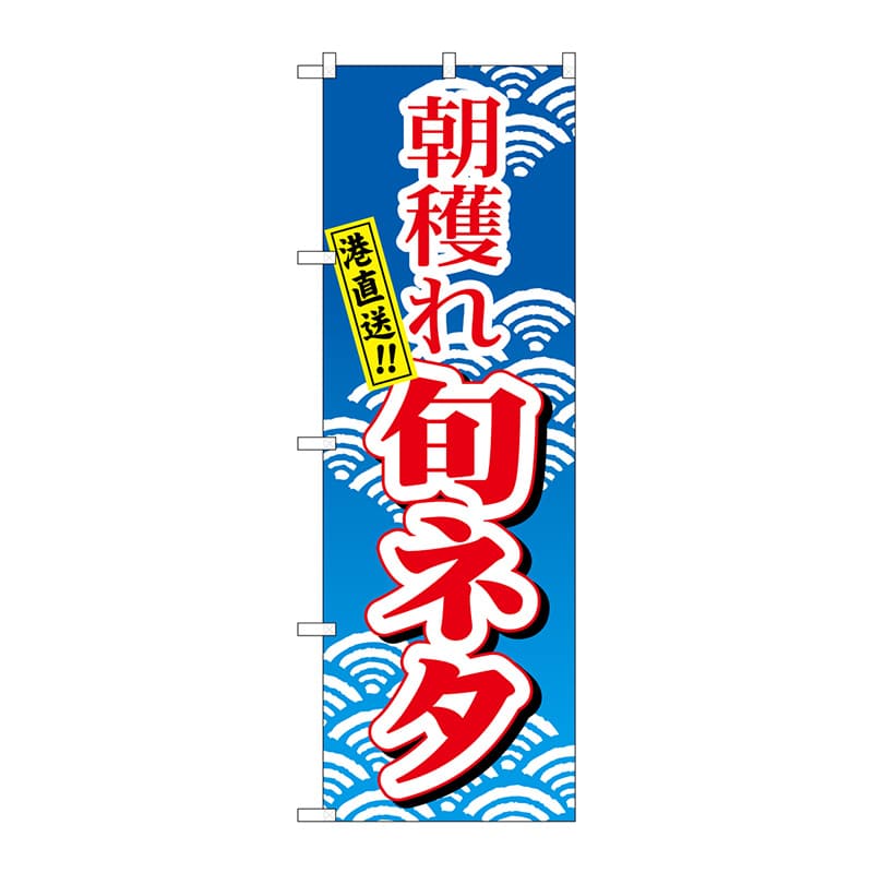 P・O・Pプロダクツ のぼり H-473 朝穫れ旬ネタ 1枚(ご注文単位1枚)【直送品】