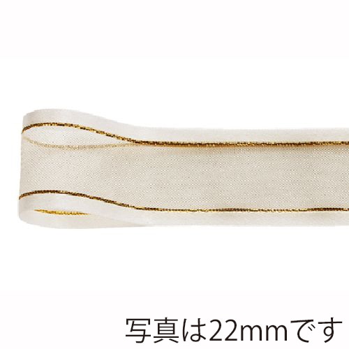青山 リボン シェアサテン ゴールドエッジ 0508 10×30 #19 1巻(ご注文単位1巻)【直送品】