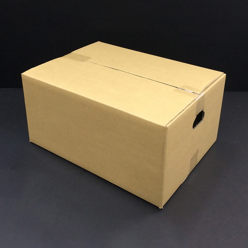 アイリスオーヤマ ダンボール 45×33×22 M-DB-100A 1個（ご注文単位10個）【直送品】