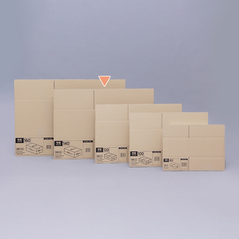 アイリスオーヤマ ダンボール 140サイズ 60×40×30 M-DB-140L 1個（ご注文単位10個）【直送品】