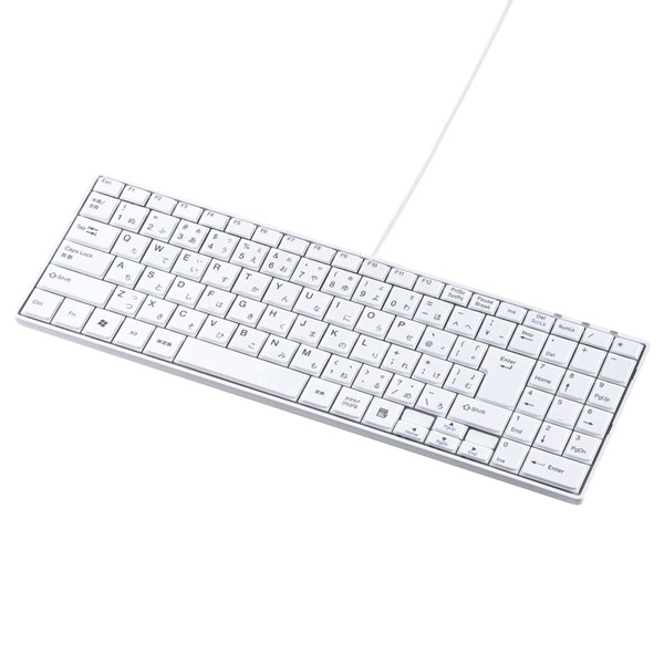 サンワサプライ USBスリムキーボード テンキー付き ホワイト SKB-SL17WN 1個(ご注文単位1個)【直送品】