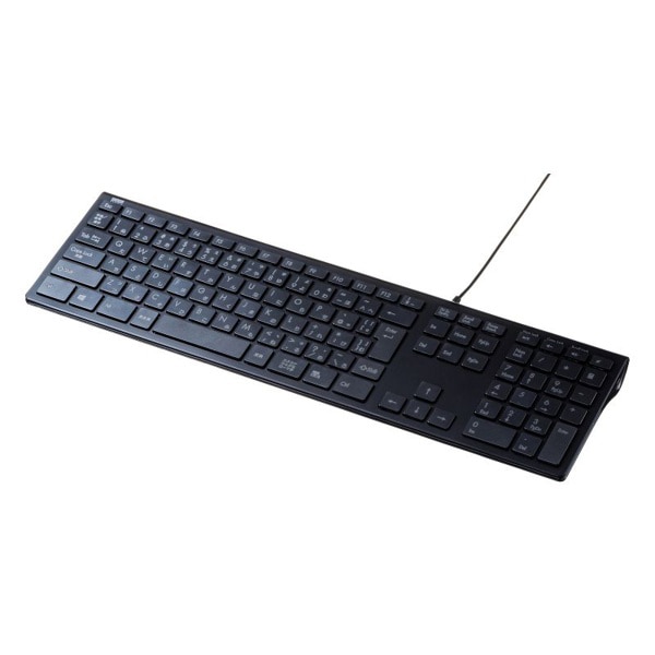 サンワサプライ USBスリムキーボード テンキーあり ブラック SKB-SL33BK 1個(ご注文単位1個)【直送品】