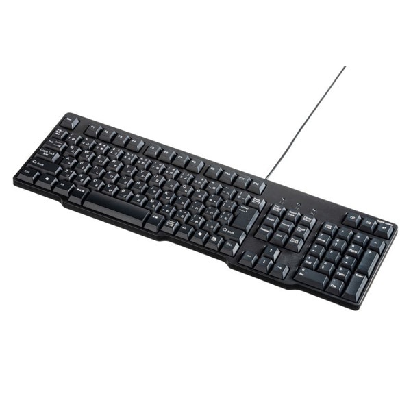 サンワサプライ PS／2キーボード ブラック SKB-L1BKN 1個（ご注文単位1個）【直送品】