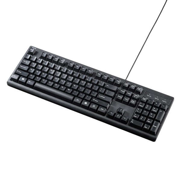 サンワサプライ USBキーボード 英語配列 ブラック SKB-E5UBK 1個（ご注文単位1個）【直送品】
