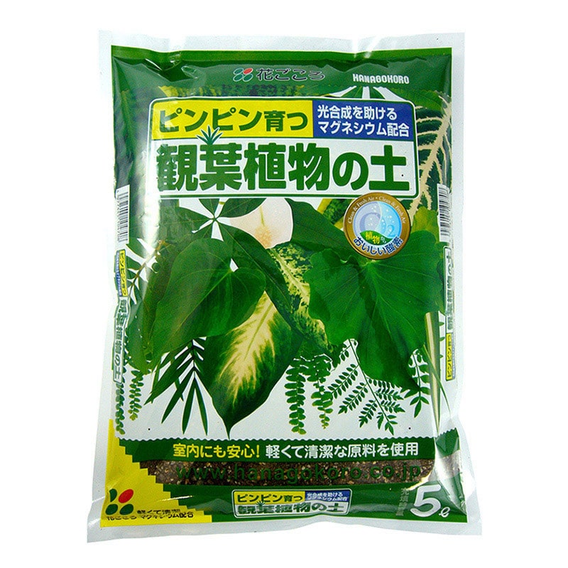 花ごころ 観葉植物の土 5L 9740 1袋(ご注文単位8袋)【直送品】