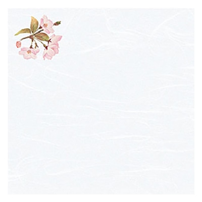 ヤマコー 花おりおり　4寸　桜 100枚入 66477 1パック（ご注文単位1パック）【直送品】