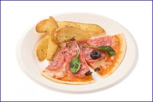 紙皿・プラスチック皿