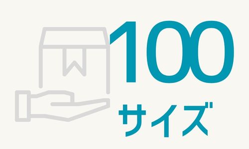 100サイズ