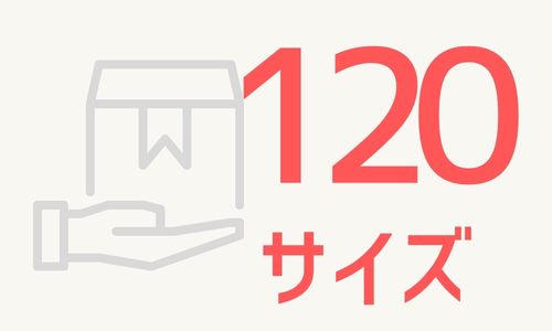 120サイズ